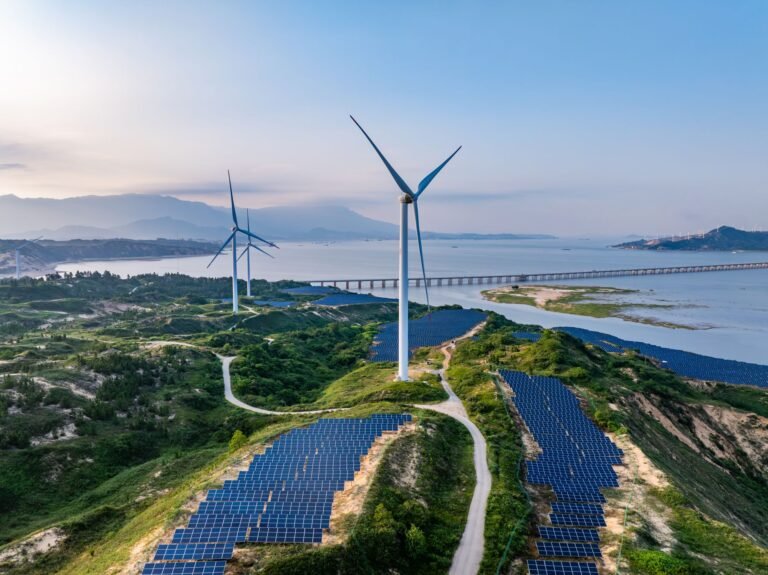 Renewable energy firms diversify operations